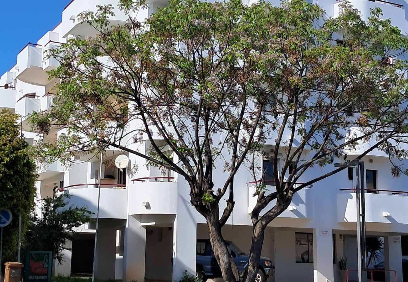 Appartement à Vilamoura - T1  Perto Marina/Praia Vilamoura
